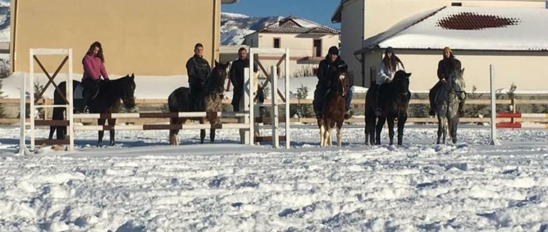 House Of Horses Shtepia E Kuajve Hotell Korça Exteriör bild